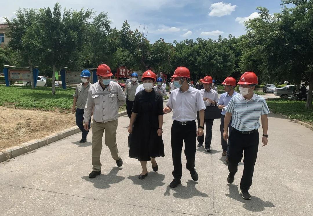 红河州州委副书记、州长罗萍赴云南解化清洁能源开发有限公司解化化工分公司发展安全出产专项调研