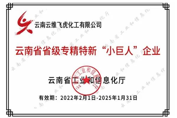 曲煤焦化云维飞虎公司获省级专精特新“幼巨人”企业授牌