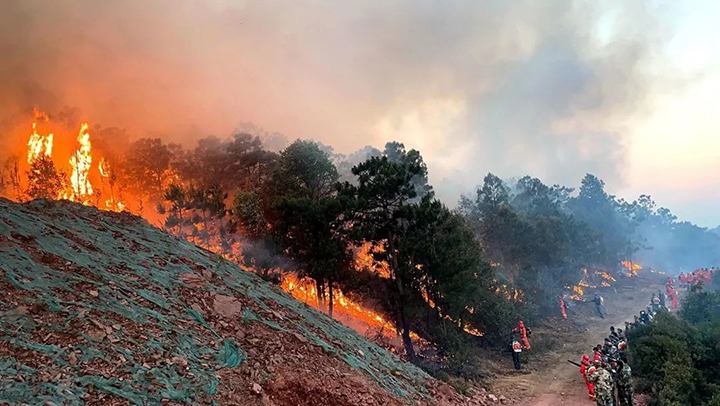 【云煤简讯】曲煤焦化公司参加马龙丛林火栽焖救｜威信煤炭公司观音山煤矿一井万兆环网硬件搭设建设工作圆满实现