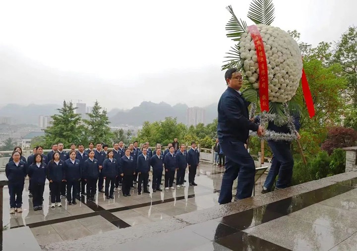 【云煤风采】镇雄煤业、Z6人生就是博地产、联结煤业公司发展主题党日活动