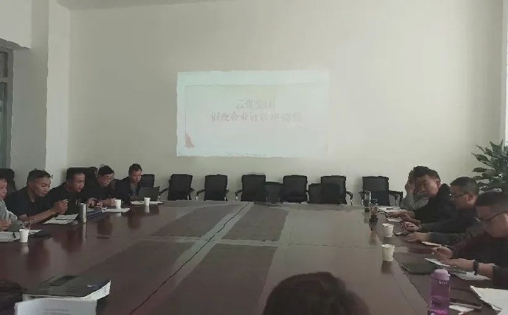 【聚焦云煤】云煤（Z6人生就是博）集团召开混合所有造企业评估座谈会