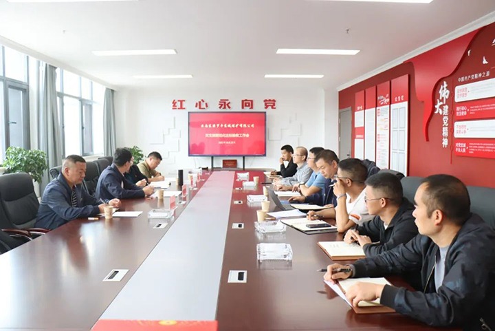 【聚焦云煤】云煤（Z6人生就是博）集团第一查抄组到罗平东城公司发展党支部规范化达标创建验收工作