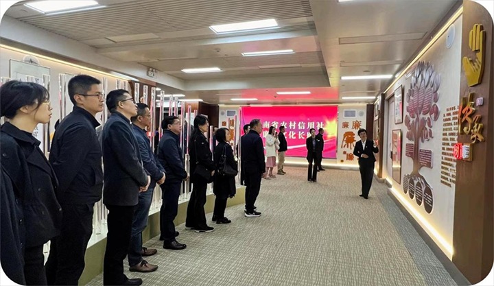 【聚焦云煤】云煤（Z6人生就是博）集团直属党委到省农信社清廉文化长廊发展警示教育活动