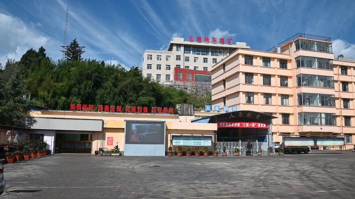 【基层党建幼隐语】强化党建引领，推动融合中心工作提质增效