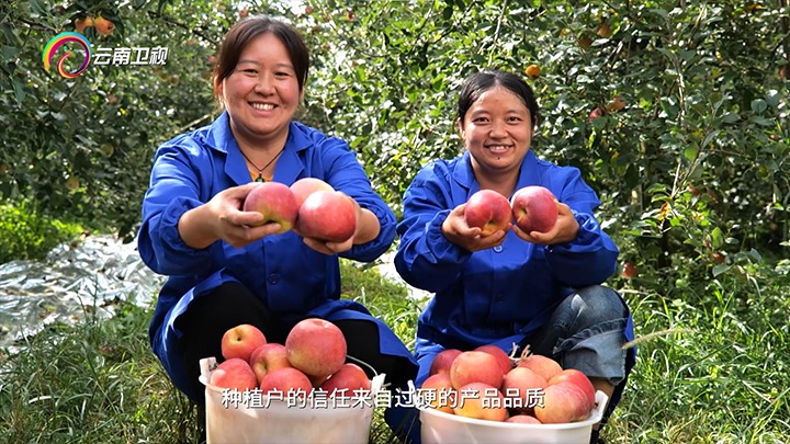 《云南卫视》播报：云煤集团解化好肥助力“三农”发展，共绘村落振兴“幸；怼